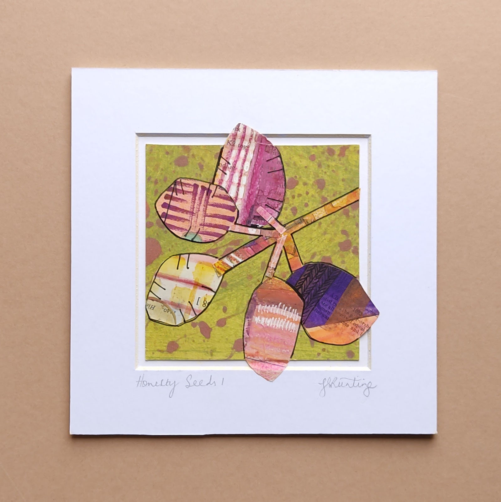 Honesty Seeds 1 - Gillian Runting.jpg